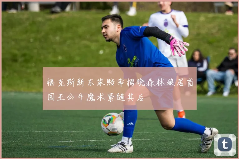 福克斯新东家赔率揭晓森林狼居首国王公牛魔术紧随其后